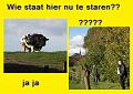 MG Herfstwandeling (46)